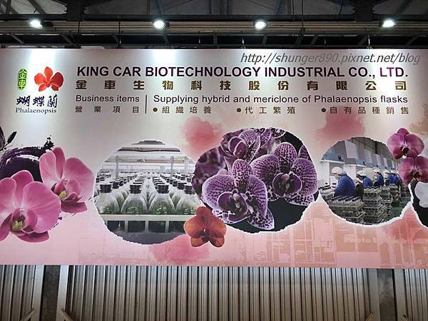 42044585_282503525707777_97669609305407488_n.jpg 42044585_282503525707777_97669609305407488_n.jpg