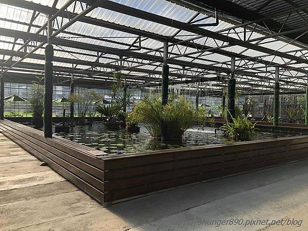 42058271_322732931624430_2670856658904678400_n.jpg 42058271_322732931624430_2670856658904678400_n.jpg