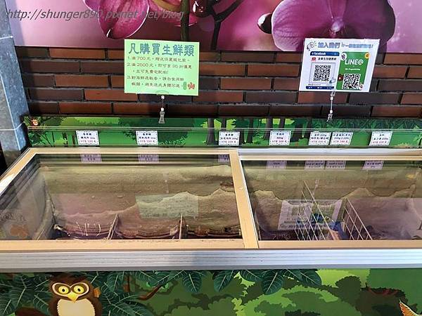 42090052_233208114014632_2778281070947205120_n.jpg 42090052_233208114014632_2778281070947205120_n.jpg