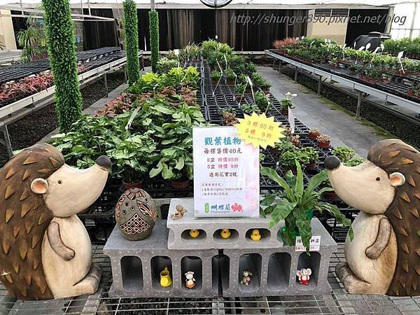 42059264_1695810590527290_4704915962988593152_n.jpg 42059264_1695810590527290_4704915962988593152_n.jpg