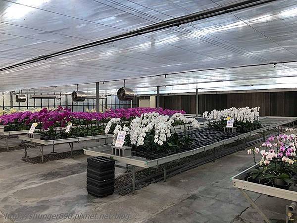 42099737_292523368244158_8832924973816348672_n.jpg 42099737_292523368244158_8832924973816348672_n.jpg