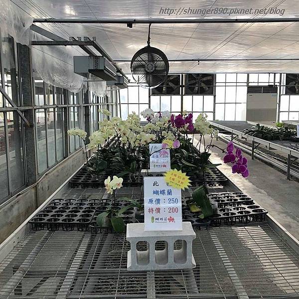 42129574_233607217333944_5258200895669141504_n.jpg 42129574_233607217333944_5258200895669141504_n.jpg