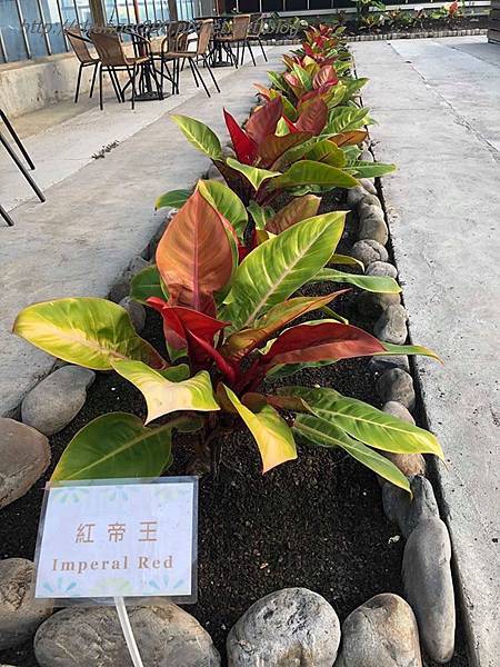 42164686_1139609309540246_8870408394654089216_n.jpg 42164686_1139609309540246_8870408394654089216_n.jpg