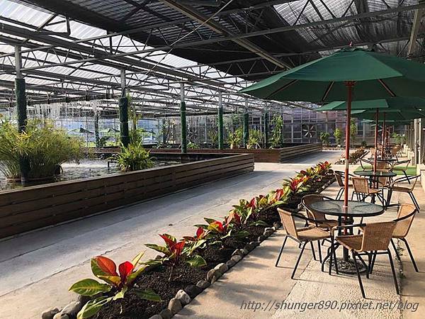 42177548_2078090952209499_6973165900849479680_n.jpg 42177548_2078090952209499_6973165900849479680_n.jpg