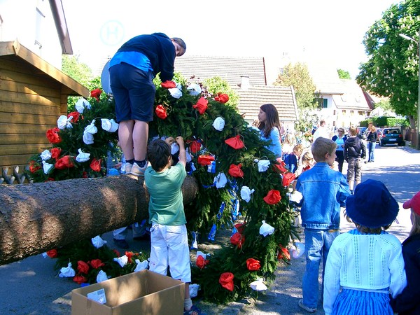 maibaum 006.jpg