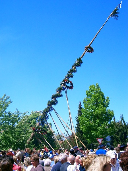 maibaum 046.jpg