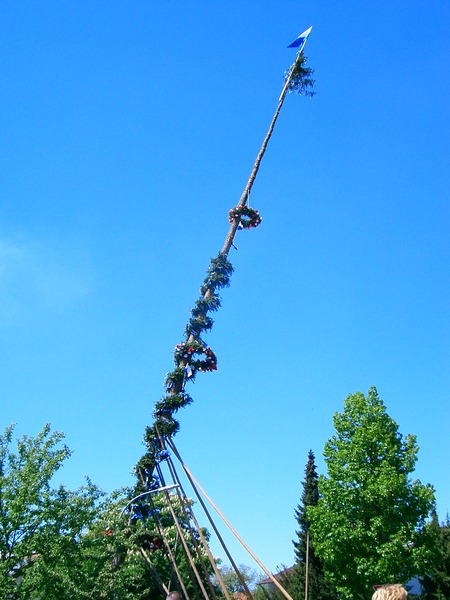 maibaum 047.jpg