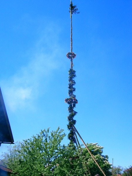 maibaum 050.jpg