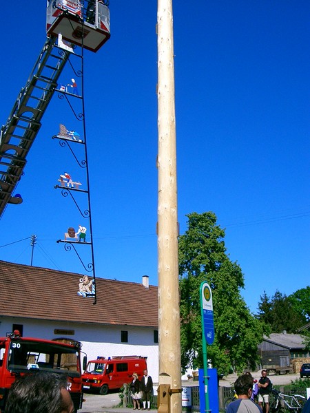 maibaum 106.jpg