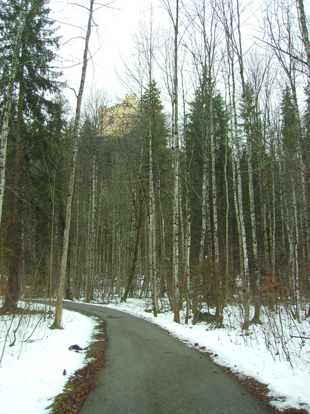 Hohenschwangau