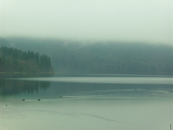 Hohenschwangau