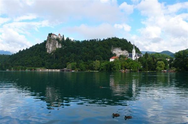 bled 010.jpg