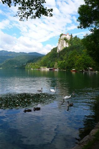 bled 020.jpg