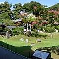 高台寺庭園.jpg