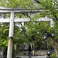 金井安比羅宮 鳥居.jpg