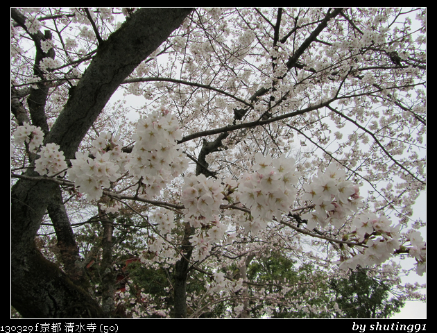 130329 f 京都 清水寺 (50)