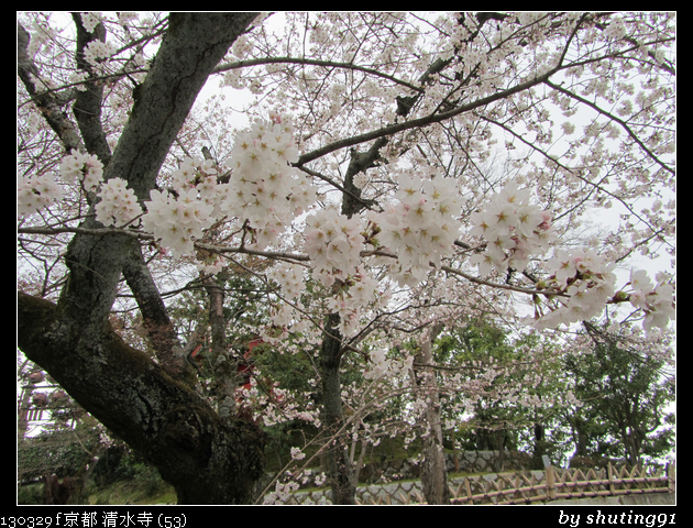 130329 f 京都 清水寺 (53)