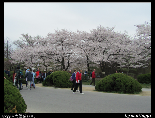 130331 a 大阪城 (128)