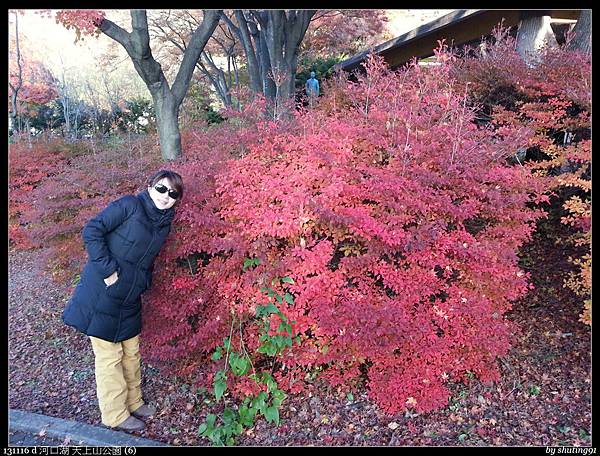 131116 d 河口湖 天上山公園 (6).jpg