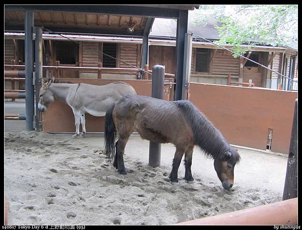 140817 Tokyo Day 6 d 上野動物園 (95).jpg