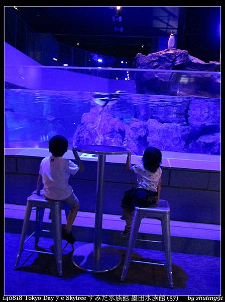140818 Tokyo Day 7 e Skytree すみだ水族館 墨田水族館 (57).jpg 140818 Tokyo Day 7 e Skytree すみだ水族館 墨田水族館 (57).jpg