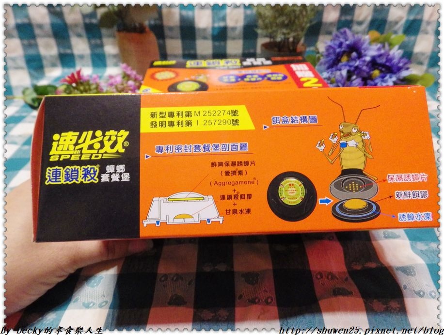 IMGP3293.JPG IMGP3293.JPG