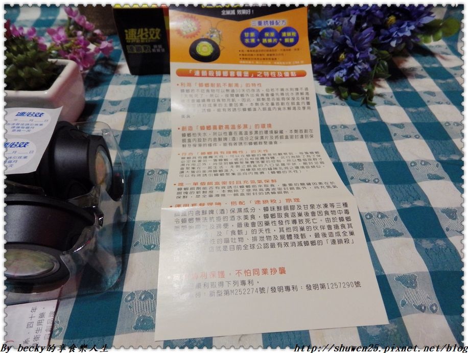 IMGP3297.JPG IMGP3297.JPG