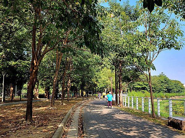 高雄都會版的「忘憂森林」~~大東濕地公園