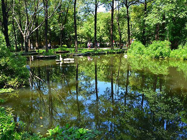 高雄都會版的「忘憂森林」~~大東濕地公園