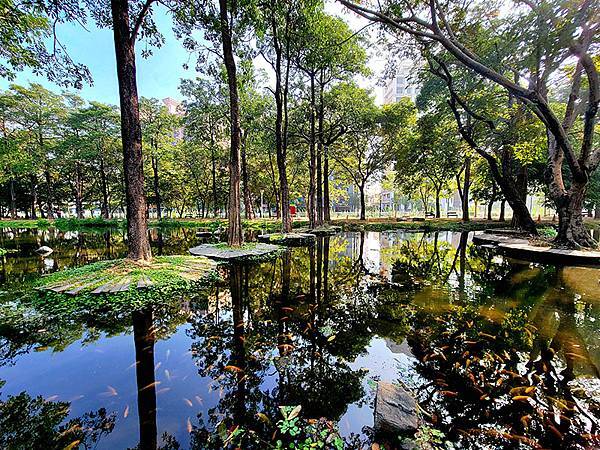 高雄都會版的「忘憂森林」~~大東濕地公園