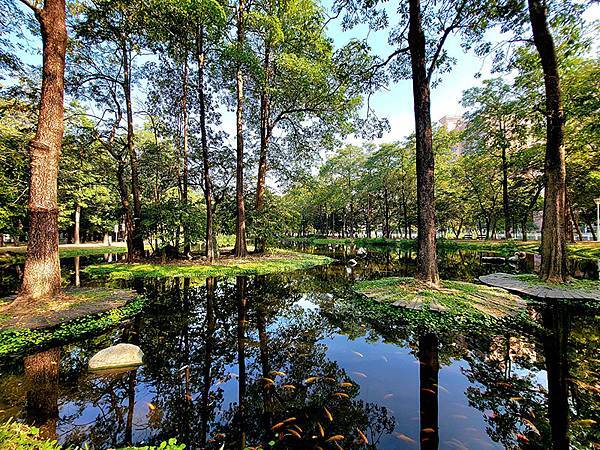 高雄都會版的「忘憂森林」~~大東濕地公園