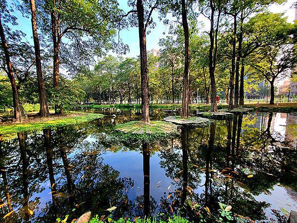 高雄都會版的「忘憂森林」~~大東濕地公園