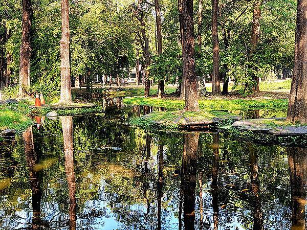 高雄都會版的「忘憂森林」~~大東濕地公園