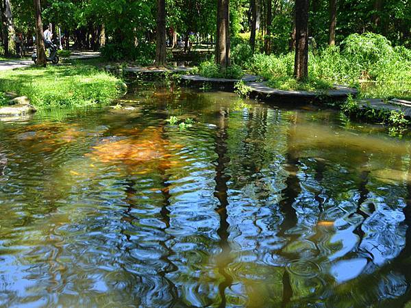 高雄都會版的「忘憂森林」~~大東濕地公園