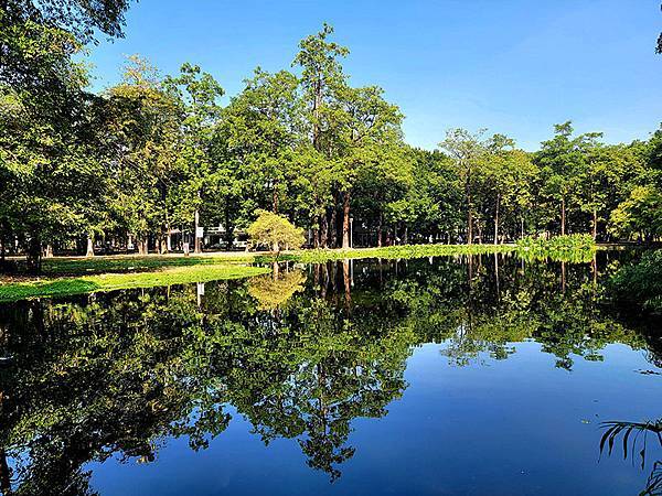 高雄都會版的「忘憂森林」~~大東濕地公園