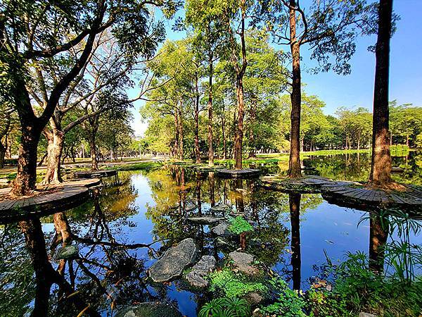 高雄都會版的「忘憂森林」~~大東濕地公園