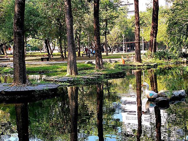 高雄都會版的「忘憂森林」~~大東濕地公園