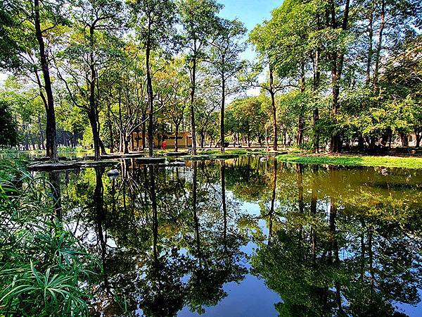 高雄都會版的「忘憂森林」~~大東濕地公園