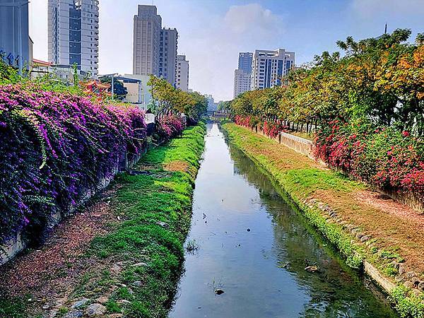 高雄都會版的「忘憂森林」~~大東濕地公園