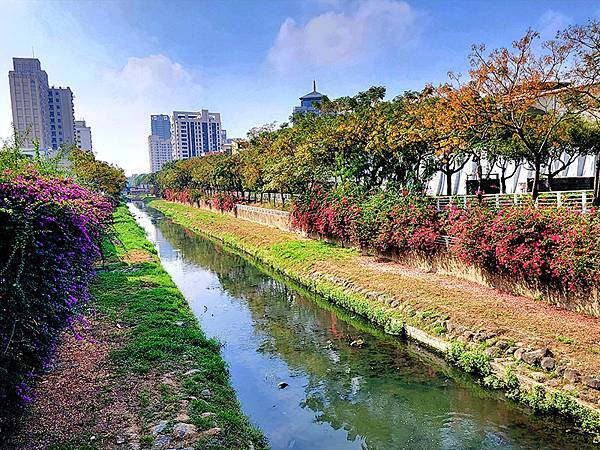 高雄都會版的「忘憂森林」~~大東濕地公園