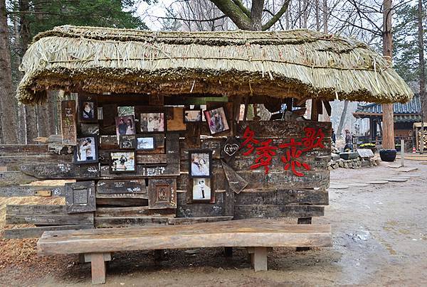 首爾近郊一日遊：「小法國村」、「南怡島」、夜遊「晨靜樹木園」