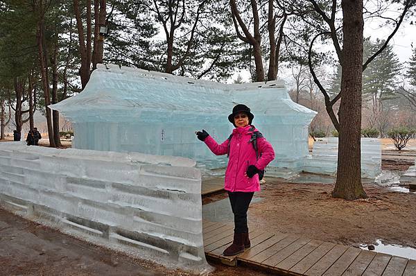 首爾近郊一日遊：「小法國村」、「南怡島」、夜遊「晨靜樹木園」