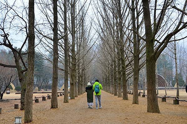 首爾近郊一日遊：「小法國村」、「南怡島」、夜遊「晨靜樹木園」