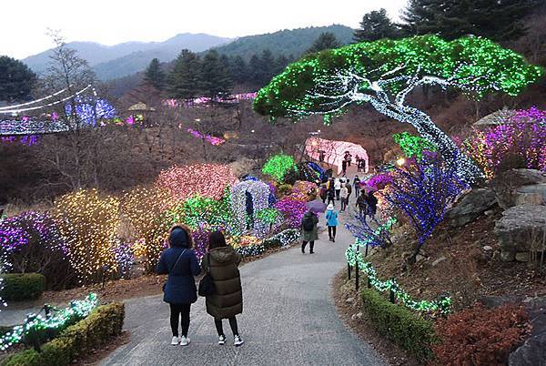 首爾近郊一日遊：「小法國村」、「南怡島」、夜遊「晨靜樹木園」