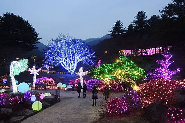 首爾近郊一日遊：「小法國村」、「南怡島」、夜遊「晨靜樹木園」