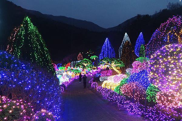 首爾近郊一日遊：「小法國村」、「南怡島」、夜遊「晨靜樹木園」