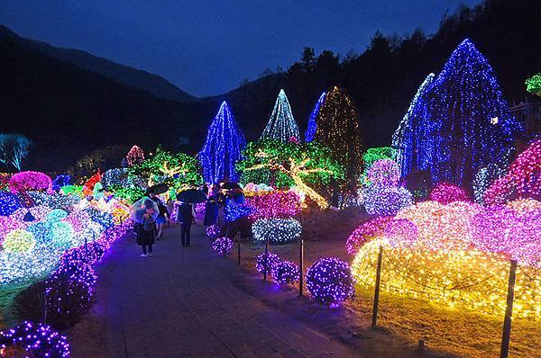 首爾近郊一日遊：「小法國村」、「南怡島」、夜遊「晨靜樹木園」