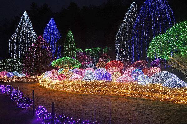 首爾近郊一日遊：「小法國村」、「南怡島」、夜遊「晨靜樹木園」