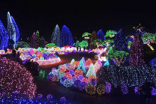 首爾近郊一日遊：「小法國村」、「南怡島」、夜遊「晨靜樹木園」