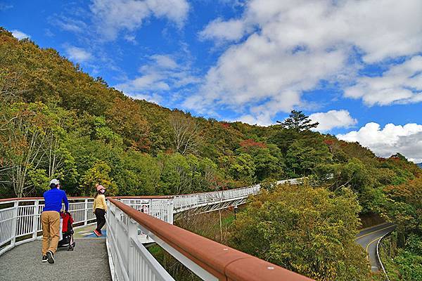 冬之繽紛~~漫步在清境「天空步道」、「青青草原」